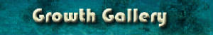 growthgallery.jpg