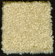 carpetcream.jpg